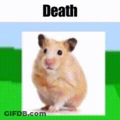 A Picture Of A Hamster With The Word Death Written Above It GIF