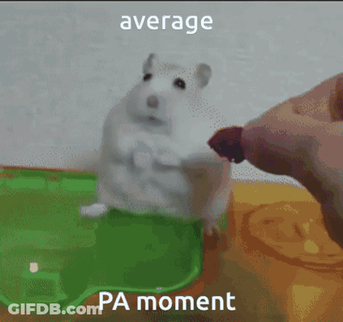 A Picture Of A Hamster With The Words " Average Pa Moment " Below It GIF