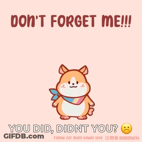 A Picture Of A Hamster With The Words Do N't Forget Me You Did Didn 'T You GIF