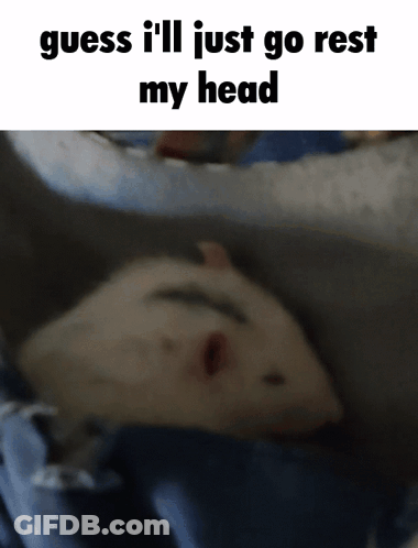 A Picture Of A Hamster With The Words Guess I 'Ll Just Go Rest My Head GIF