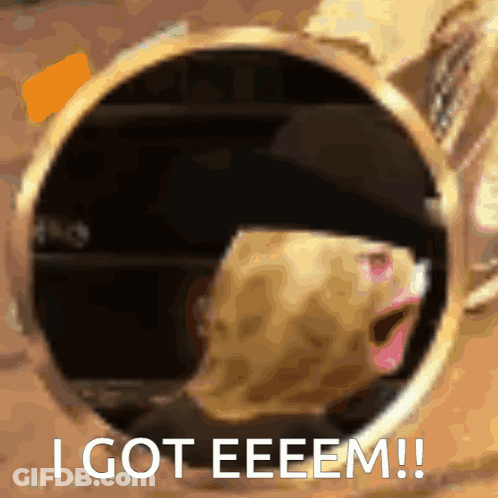 A Picture Of A Hamster With The Words I Got Eeeem GIF