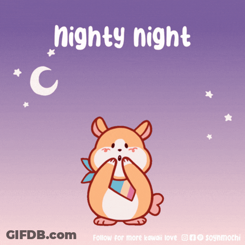 A Picture Of A Hamster With The Words Nighty Night Written On It GIF