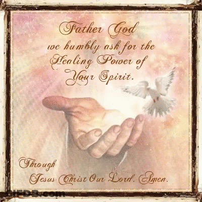 A Picture Of A Hand Holding A Dove With The Words Father God We Humbly Ask For The Healing Power Of Your Spirit Written GIF