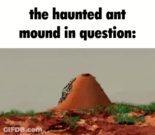 A Picture Of A Haunted Ant Mound In Question .. GIF