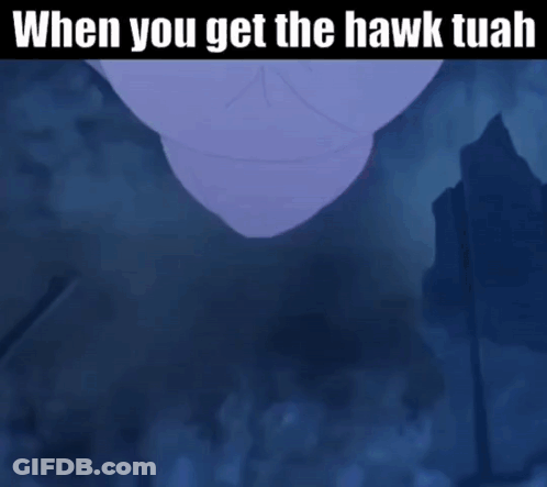 A Picture Of A Hawk With The Caption " When You Get The Hawk Tuah " GIF
