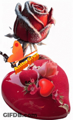 A Picture Of A Heart With A Rose And A Butterfly With The Name Anita Cruz On It GIF