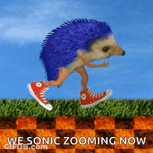 A Picture Of A Hedgehog With The Words We Sonic Zooming Now Underneath It GIF