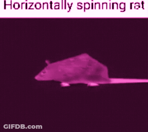 A Picture Of A Horizontally Spinning Rat On A Black Background GIF