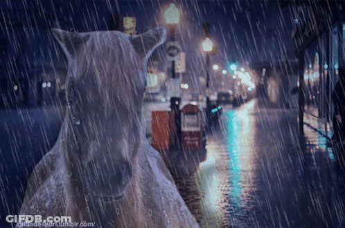 A Picture Of A Horse In The Rain With The Website Gilbadelladri.tumblr.com In The Corner GIF