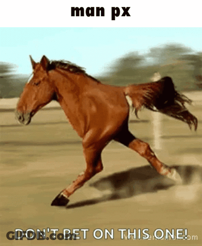 A Picture Of A Horse Running With The Caption " Man Px Don T Bet On This One " GIF