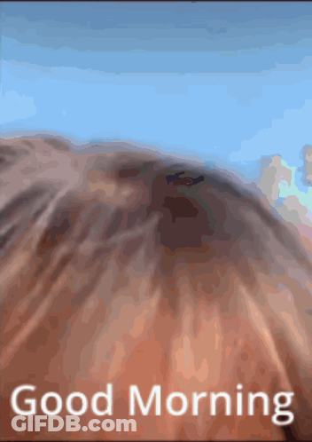 A Picture Of A Horse With The Words " Good Morning " Below It GIF