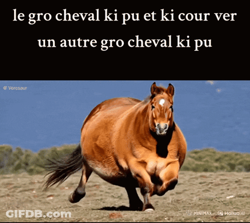 A Picture Of A Horse With The Words Le Gro Cheval Ki Pu Et Ki Cour Ver On The Bottom GIF