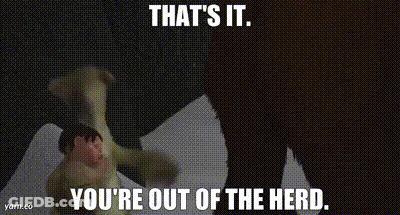 A Picture Of A Horse With The Words That 'S It You 'Re Out Of The Herd Written On It GIF