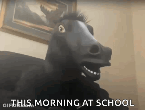 Horse With This Morning At School Text GIF