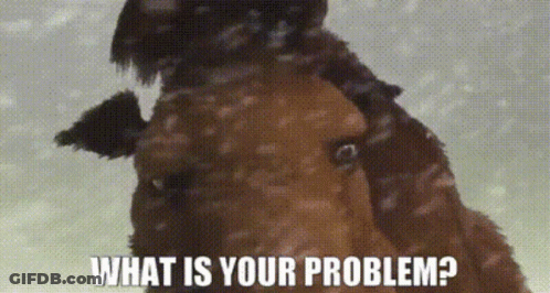 A Picture Of A Horse With The Words What Is Your Problem GIF