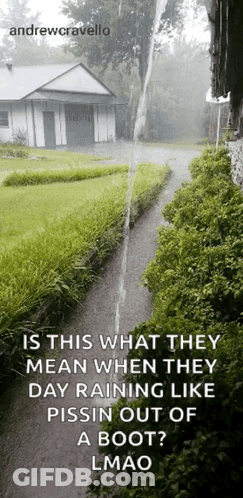 A Picture Of A House With The Caption Is This What They Mean GIF