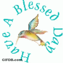A Picture Of A Hummingbird With The Words Have A Blessed Day GIF