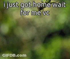 A Picture Of A Hummingbird With The Words " I Just Got Home Wait For Me Vc " Below It GIF