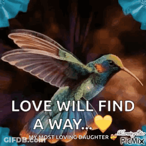 A Picture Of A Hummingbird With The Words Love Will Find A Way On It GIF