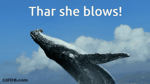 A Picture Of A Humpback Whale With The Words That She Blows Above It GIF