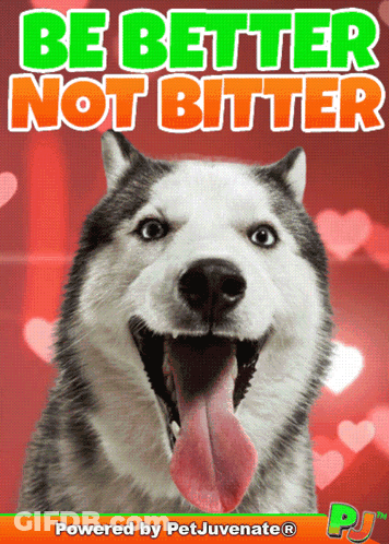 A Picture Of A Husky Dog With The Words " Be Better Not Bitter " Above It GIF
