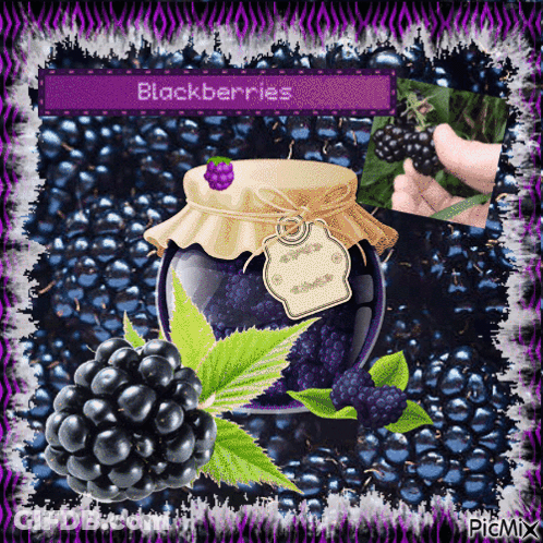 A Picture Of A Jar Of Blackberries With A Purple Border GIF