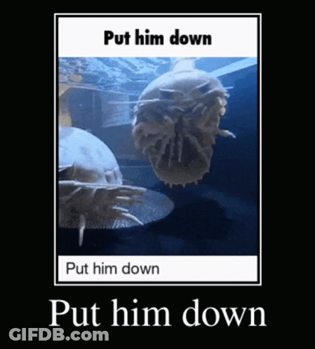 A Picture Of A Jellyfish With A Caption That Says Put Him Down GIF