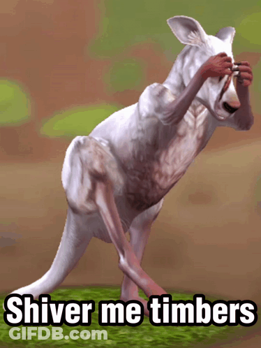 A Picture Of A Kangaroo With The Words " Shiver Me Timbers " Below It GIF