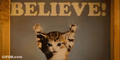 A Picture Of A Kitten Behind A Sign That Says Believe On It GIF