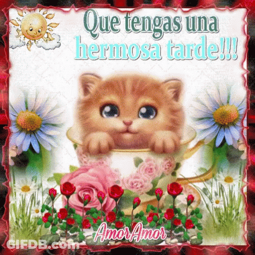 A Picture Of A Kitten In A Cup With The Words Que Tengas Una Hermosa Tarde !!! GIF