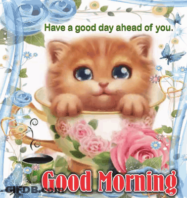 A Picture Of A Kitten In A Teacup With The Words " Have A Good Day Ahead Of You " GIF