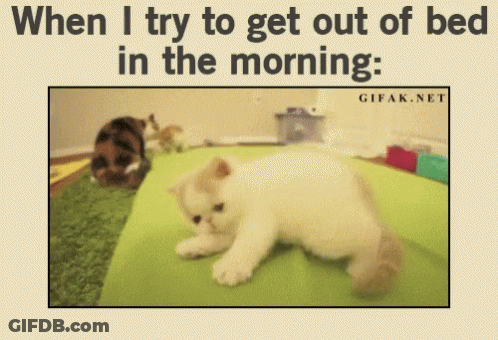 A Picture Of A Kitten Laying On A Bed With A Caption That Says When I Try To Get Out Of Bed In The Morning GIF