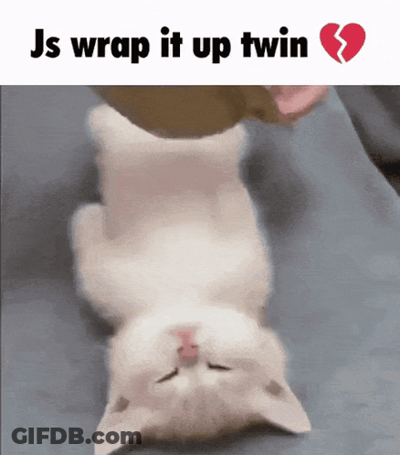 A Picture Of A Kitten Laying On Its Back With The Words Js Wrap It Up Twin Below It GIF