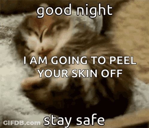 A Picture Of A Kitten Sleeping With The Caption Good Night I Am Going To Peel Your Skin Off Stay Safe GIF