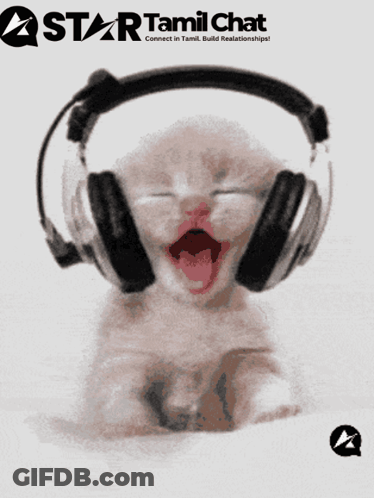 A Picture Of A Kitten Wearing Headphones That Says Star Tamil Chat On The Bottom GIF