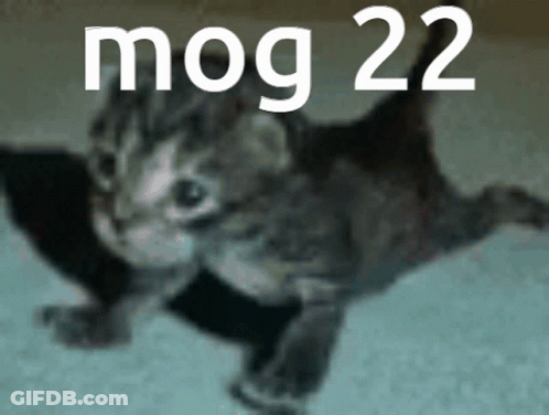 A Picture Of A Kitten With The Word Mog 22 Written Above It GIF