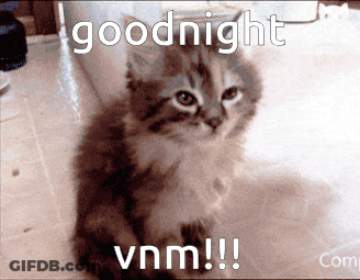 A Picture Of A Kitten With The Words Goodnight Vnm !!! GIF