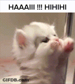 A Picture Of A Kitten With The Words Haaaiii !!! Hihihi GIF