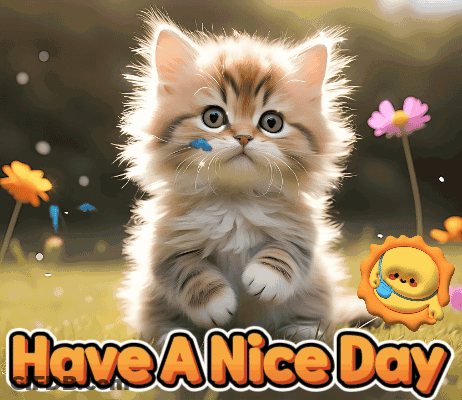 A Picture Of A Kitten With The Words " Have A Nice Day " Below It GIF