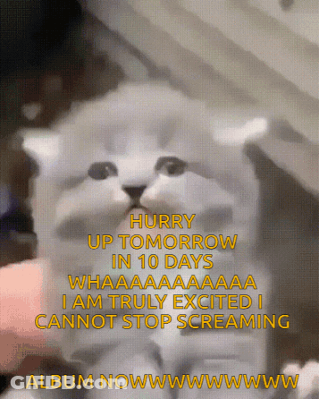 A Picture Of A Kitten With The Words " Hurry Up Tomorrow In 10 Days " On It GIF