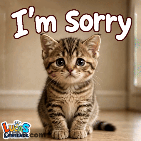 A Picture Of A Kitten With The Words " I 'M Sorry " Above It GIF