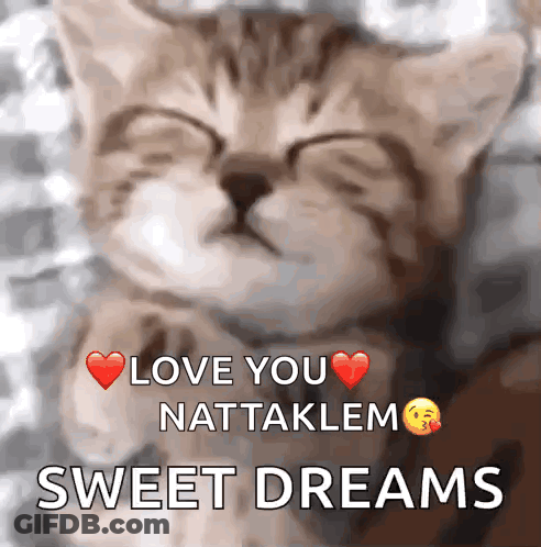 A Picture Of A Kitten With The Words Love You Nattaklem Sweet Dreams GIF