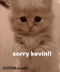 A Picture Of A Kitten With The Words Sorry Kevin On It GIF