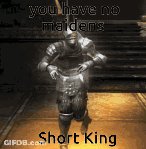 A Picture Of A Knight With The Words " You Have No Maidens Short King " GIF