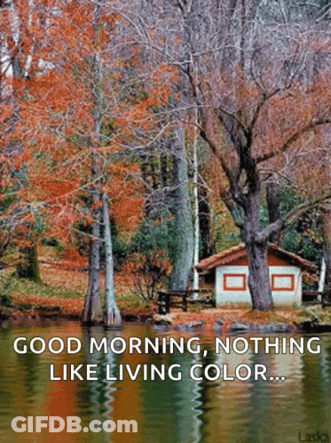 A Picture Of A Lake With Trees And A House In The Background With The Caption Good Morning Nothing Like Living Color GIF