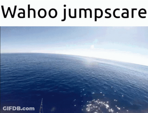 A Picture Of A Large Body Of Water With The Words Wahoo Jumpscare Above It GIF