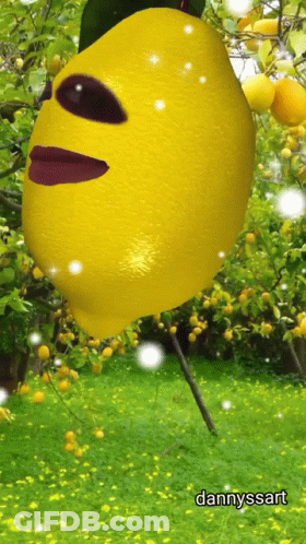 A Picture Of A Lemon With A Face And The Name Dannyssart Below It GIF