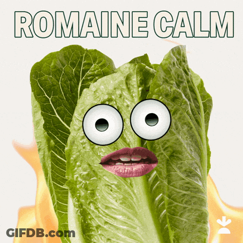 A Picture Of A Lettuce With A Face And The Words Romaine Calm Above It GIF
