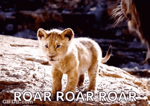 A Picture Of A Lion Cub With The Words Roar Roar Roar GIF