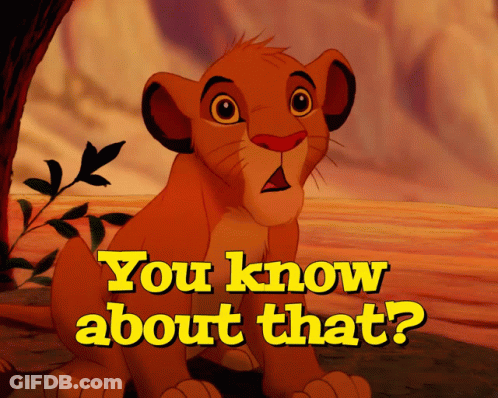 A Picture Of A Lion Cub With The Words " You Know About That " GIF